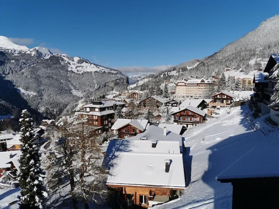 Apartment Chalet Im Sunnigen Usblick Wengen Eksteriør billede