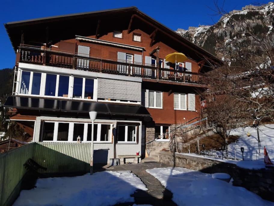 Apartment Chalet Im Sunnigen Usblick Wengen Eksteriør billede